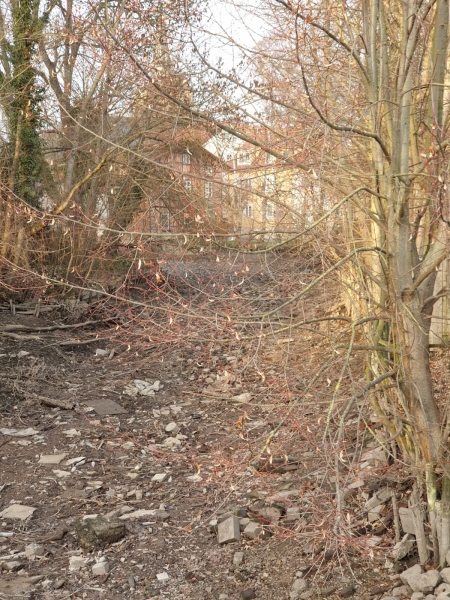 evakuierungsfischen_muehlgraben_26_20190212_1739732063.jpg