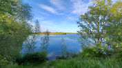 Ringsee_2024